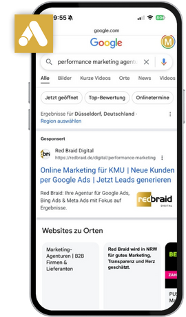 Performance Marketing mit Google Ads und Shopping von Red Braid